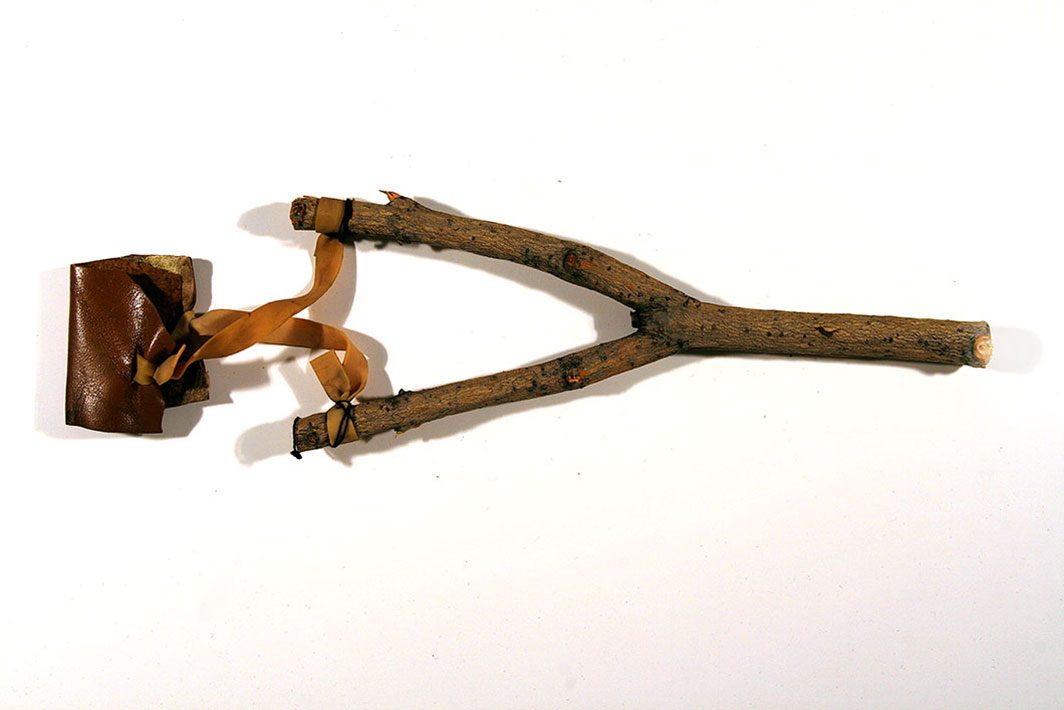 Reproduction of a slingshot